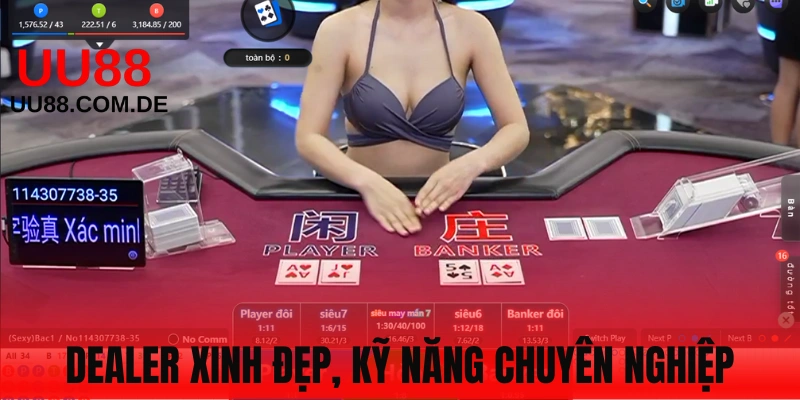 Dealer được đào tạo bài bản, không khí giải trí cao